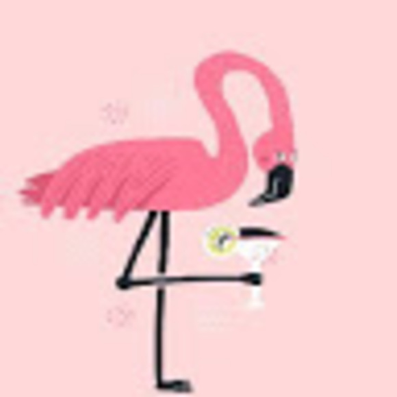 snarkyflamingo